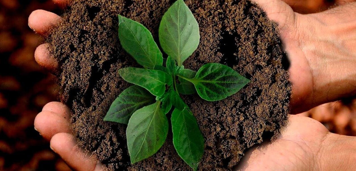 Marcas sustentables, más allá de la causa ambiental